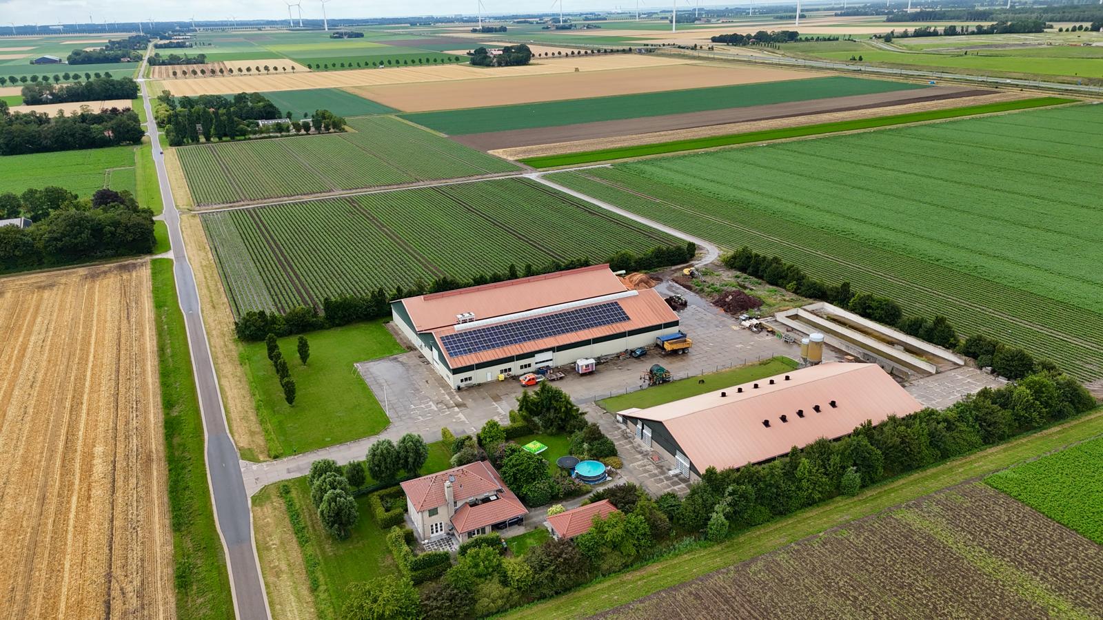 Luftaufnahme des neuen Hofs mit Halle und Kälberstall